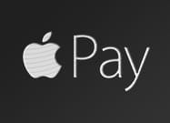 Il logo di Apple Pay