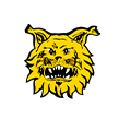 Lo stemma dell'Ilves Tampere