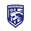 Il logo del Wuhan Three Towns F.C.