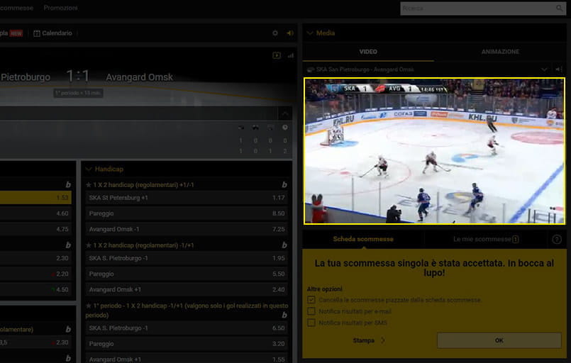 Lo streaming di una partita di hockey su ghiaccio su bwin