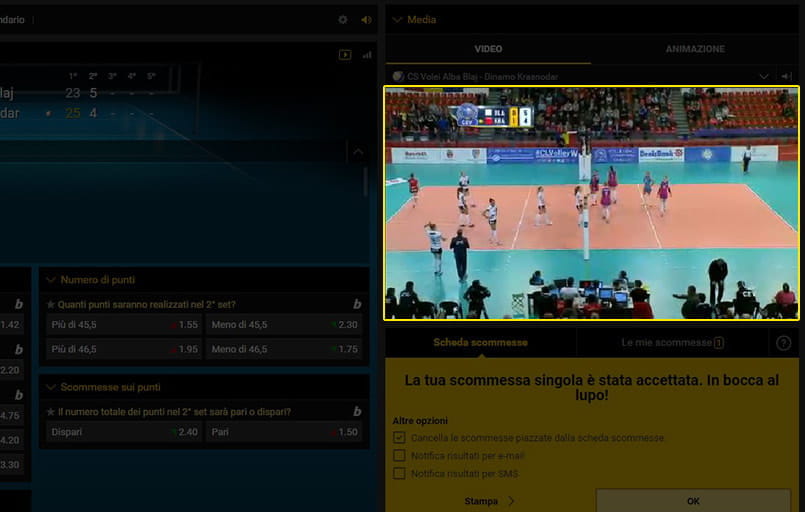 Lo streaming di una partita di pallavolo su su bwin