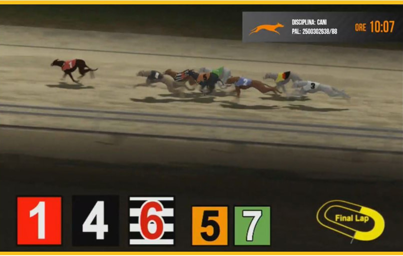 I cani virtuali su Sisal