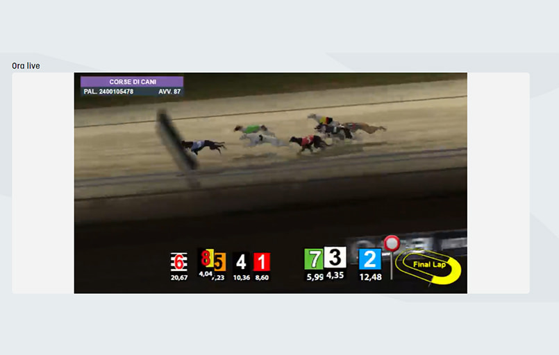 I cani virtuali su SNAI