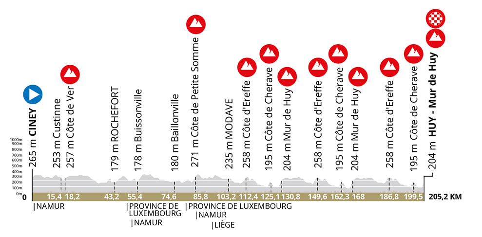 L’altimetria della Freccia Vallone 2022