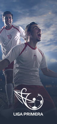 Giocatori di calcio esultano dopo un gol e il logo della Liga Primera