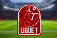 Il logo della Ligue Professionnelle 1