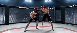 Un incontro di MMA