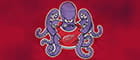 Il polpo/mascotte dei Detroit Red Wings