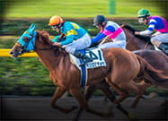 Dei cavalli in corsa in un ippodromo