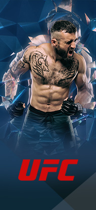 Fighter UFC in azione