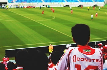 Un tifoso esulta durante una partita di calcio