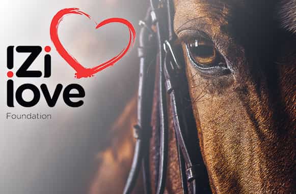 Muso di un cavallo logo Zlove foundation